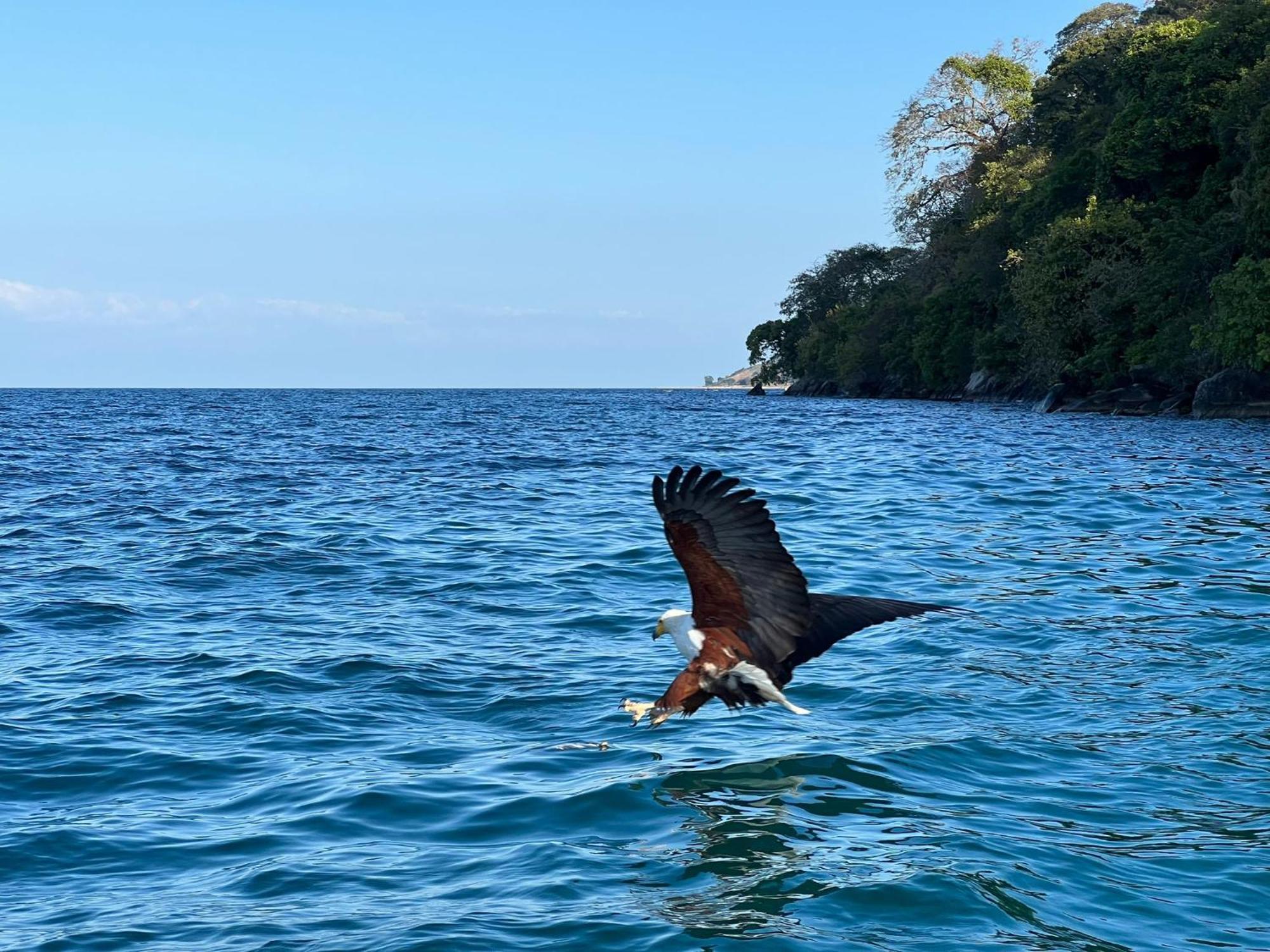 Butterfly Space- A Non-Profit Eco-Lodge Nkhata Bay Экстерьер фото